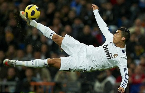 以其独特的 以其独特的